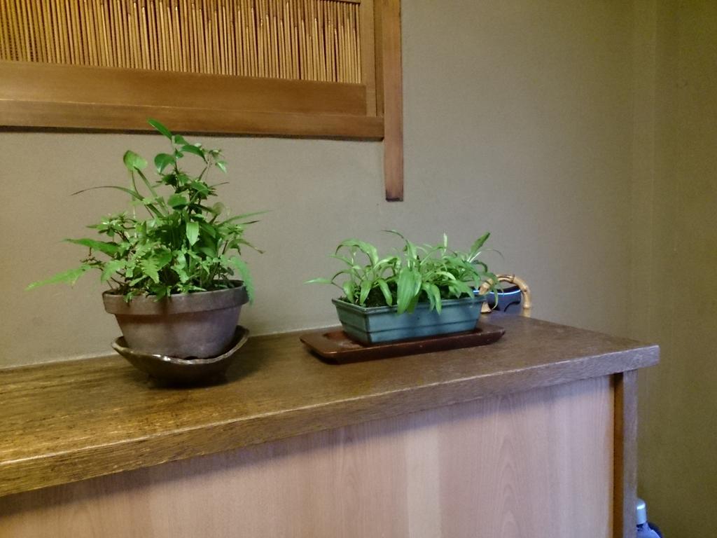 Ryokan Nakajimaya Kyoto Exteriör bild